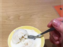-古树酸奶(八廓南街店)