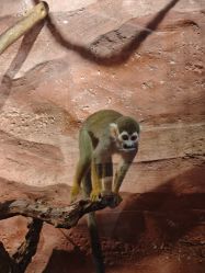 -Zoolung Zoolung动物主题公园(海信广场店)