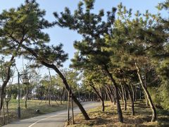 -蜀冈西峰生态公园