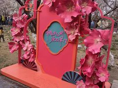-桃花堤公园