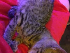 -在路上酒吧(大理古城店)