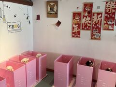 -翊宠yipet猫狗购宠庄园犬舍•猫舍