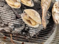 -泰白海鲜烧烤大全
