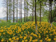 -兴福老面馆(寺路街店)