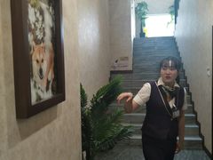 宠物摄影-宠爱国际动物医院· 猫科· 外科·中兽医(长白店)