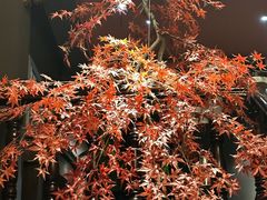 -金狮麟·新豫菜(杏石口路店)