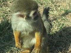 -济南野生动物世界