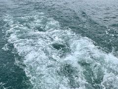 -黄河小浪底水利枢纽风景区