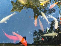 -晋江五店市传统文化旅游区