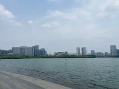 -天鹅湖体育公园