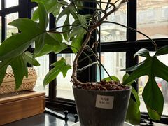 -一尺花园(安和花园店)