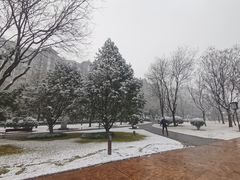 -唐城墙遗址公园