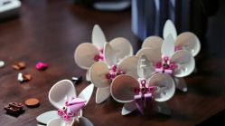 -乐高授权专卖店(新北万达店)