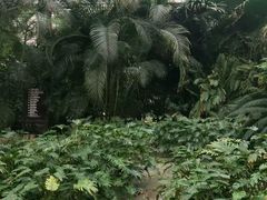 -龙达温泉生态城