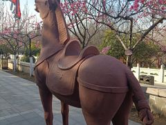 -西安汉城湖景区