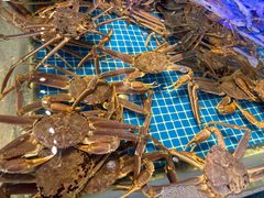 -驻海渔市(置信店)