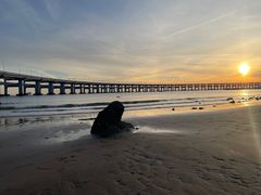 -星海湾跨海大桥