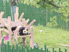 -沈阳森林动物园