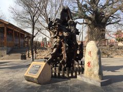 -大槐树寻根祭祖园