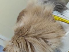 -纳吉亚猫专科动物医院博雅分院