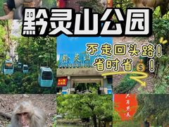 -贵州森林野生动物园