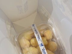 -小飞象面包公社(珠江路金鹰店)