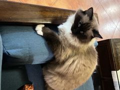 -域SPA·足疗·按摩·养生(静安寺店)