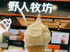 -野人先生现做冰淇淋(西安赛格店)