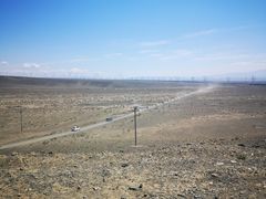 -新疆天山野生动物园