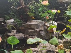 -观宴·品质赣菜(高新大道店)