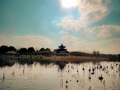 -上海海湾国家森林公园