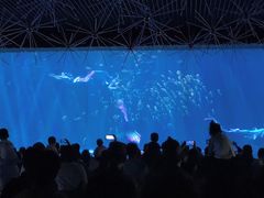 -华夏文旅海洋公园