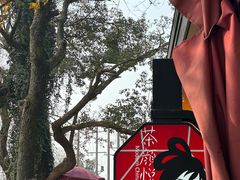 -茶颜悦色(岳麓山顶店)