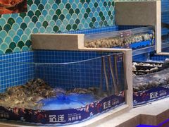 -乔哥铭洋海鲜自助(皇城恒隆广场店)