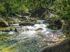 -广州白江湖森林公园