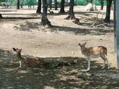-西安秦岭野生动物园