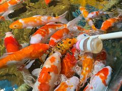 -太平洋海底世界