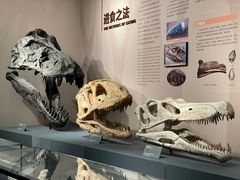 -自贡恐龙博物馆