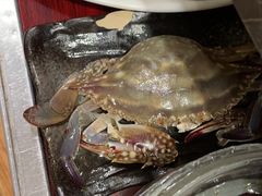 -蔚海之都·象山蒸汽海鲜(仙霞路店)