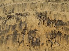 -彩色沙林风景区