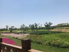 -同里国家湿地公园