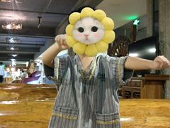 -绿岛汤泉韩式休闲会所