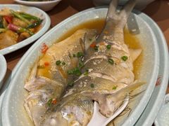 酸梅酱蒸马友鱼-抱德·潮汕味(敦和店原惠城鱼仔)