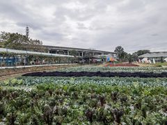 -新地休闲农场