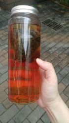 -鲍海兵