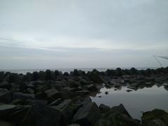 -南汇嘴观海公园