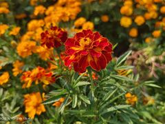 -江苏三台山国家森林公园