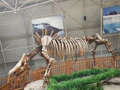 -中国第四纪冰川遗迹陈列馆