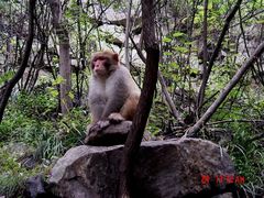景点-云台山风景名胜区