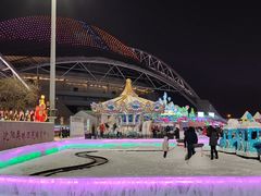-沈阳奥体冰雪嘉年华